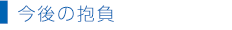 今後の抱負